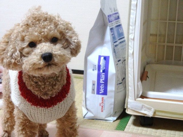 イメージ 3