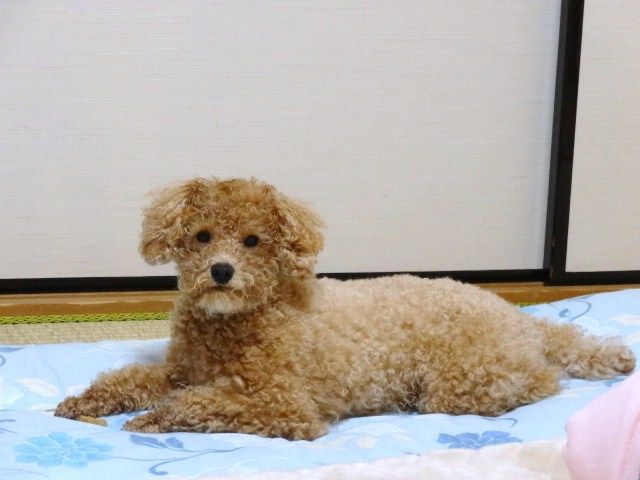 イメージ 6