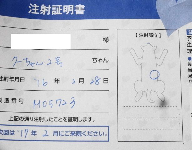 イメージ 6