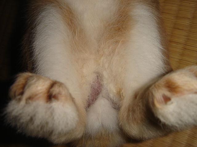 イメージ 3