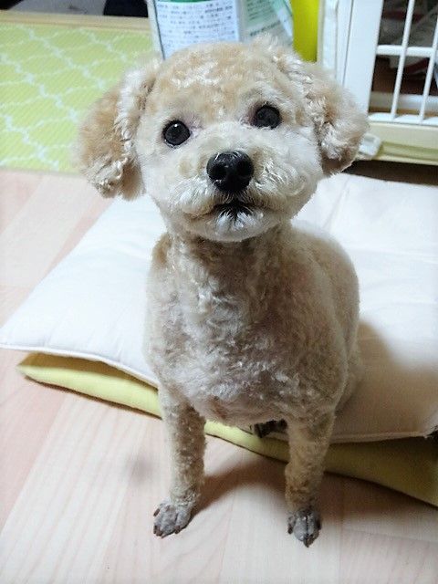 イメージ 3
