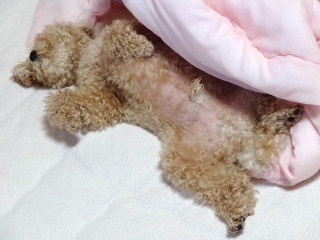 イメージ 3