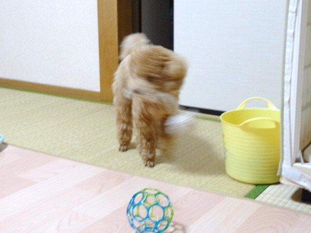 イメージ 6