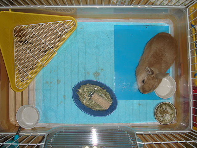 イメージ 6