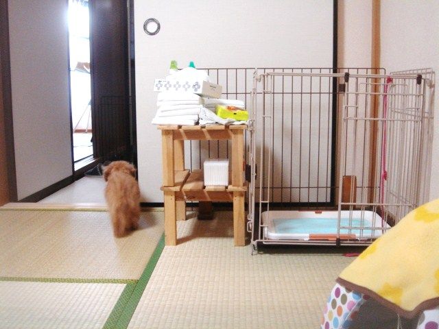 イメージ 3