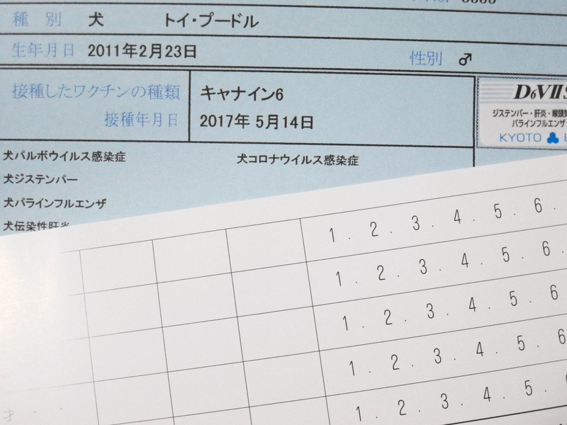 イメージ 8