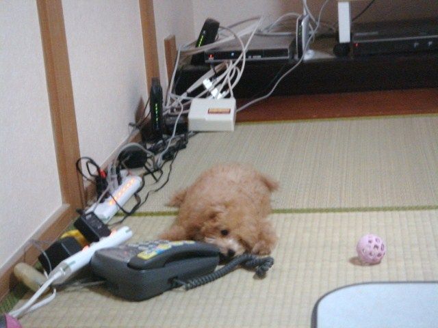 イメージ 10