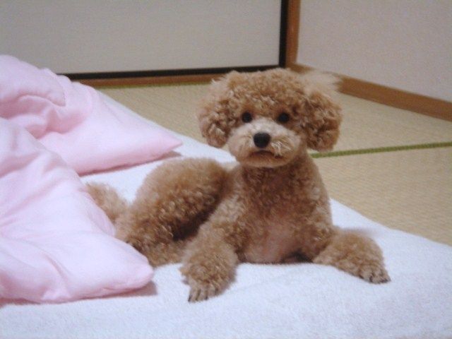 イメージ 1