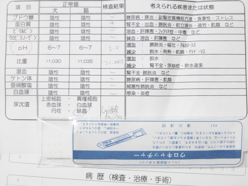 イメージ 9