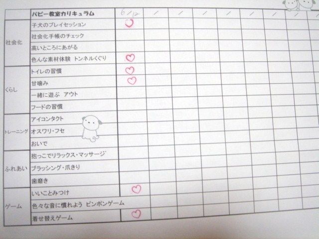 イメージ 9