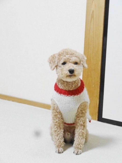 イメージ 6