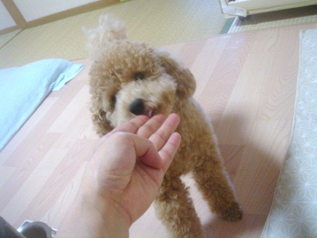 イメージ 3