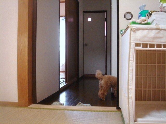 イメージ 5
