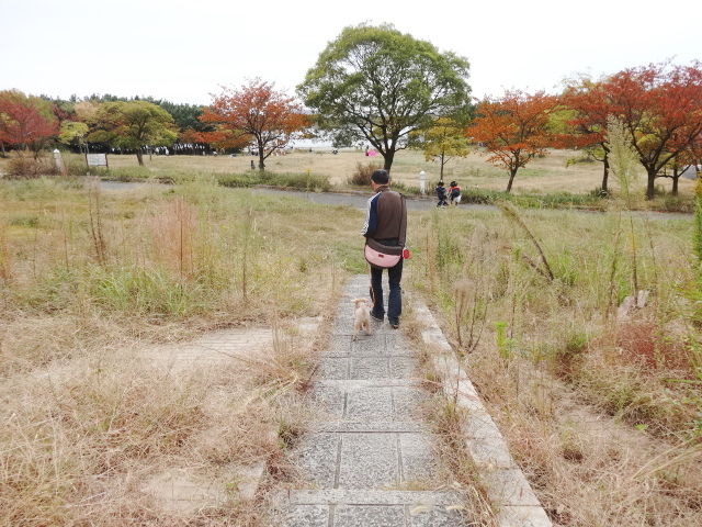 イメージ 8