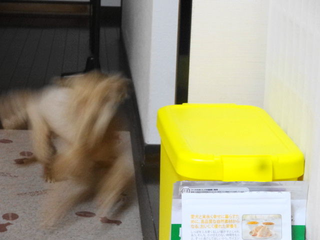 イメージ 6