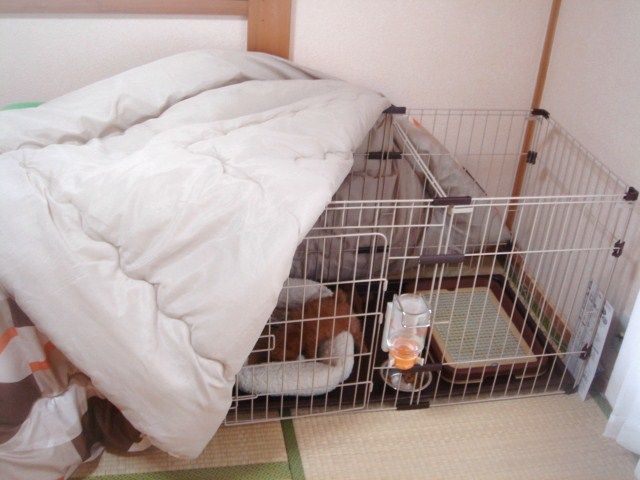 イメージ 7