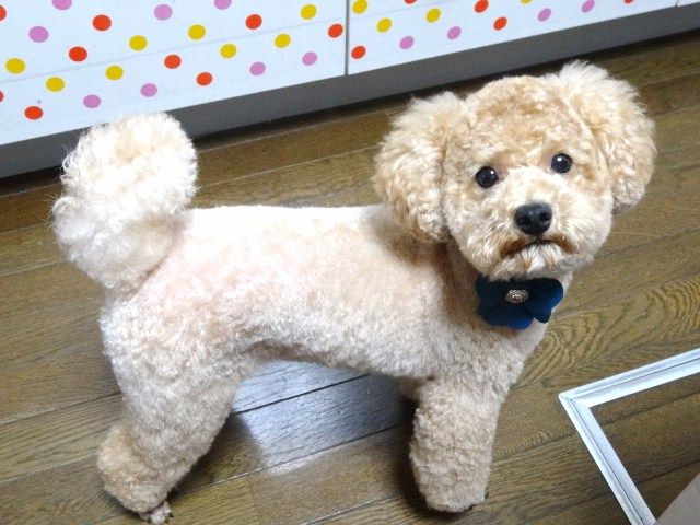 イメージ 7