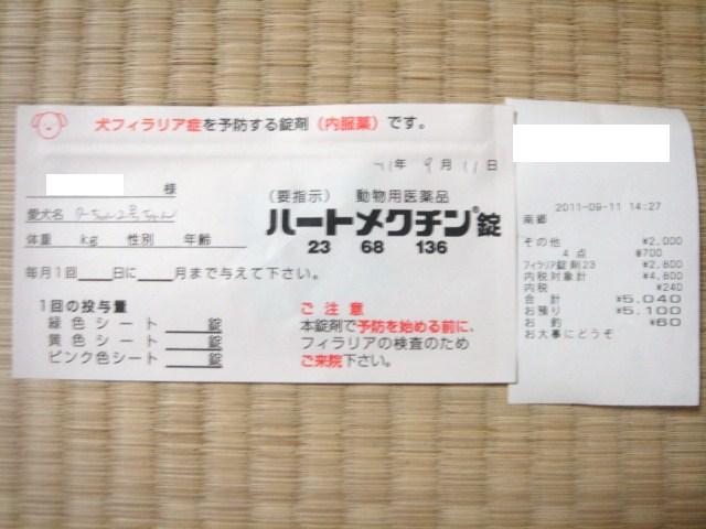 イメージ 11