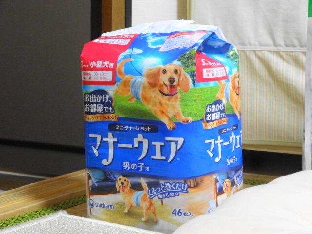 イメージ 7