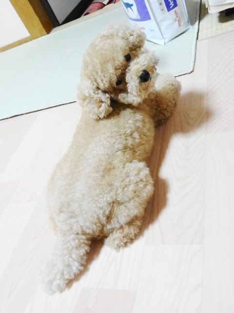 イメージ 2