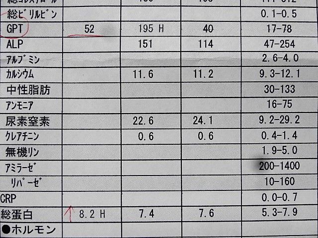 イメージ 6
