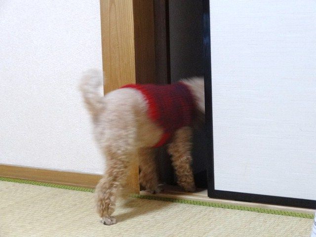 イメージ 4