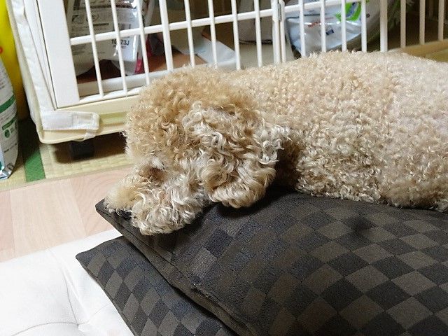 イメージ 8