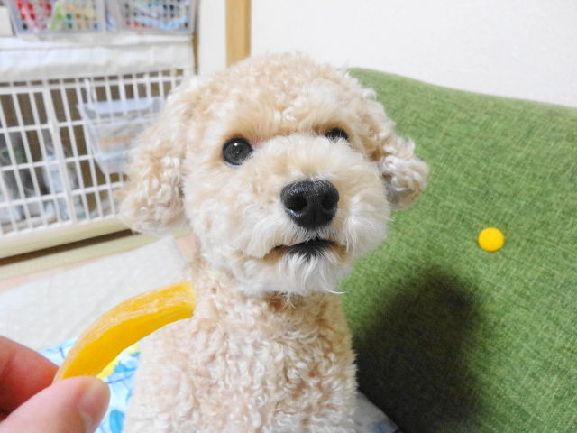 イメージ 9