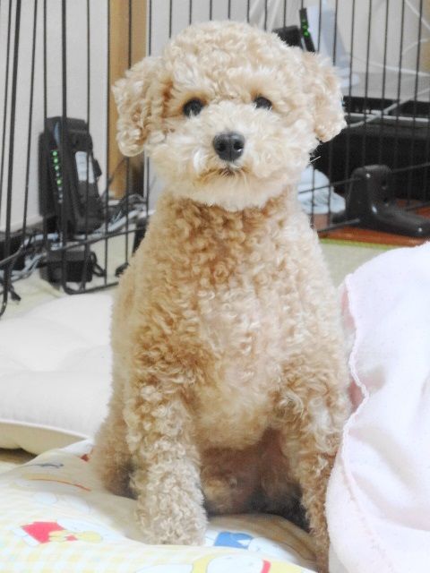 イメージ 3