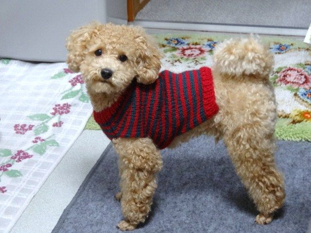 イメージ 1