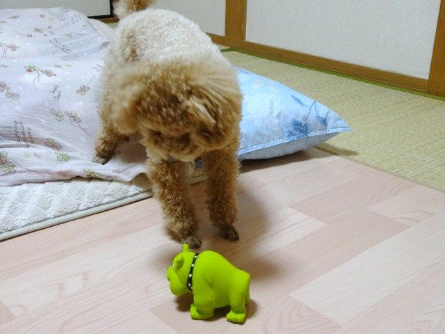 イメージ 5