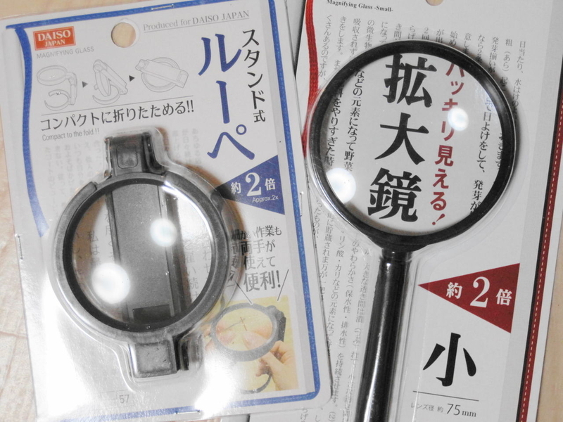 イメージ 8