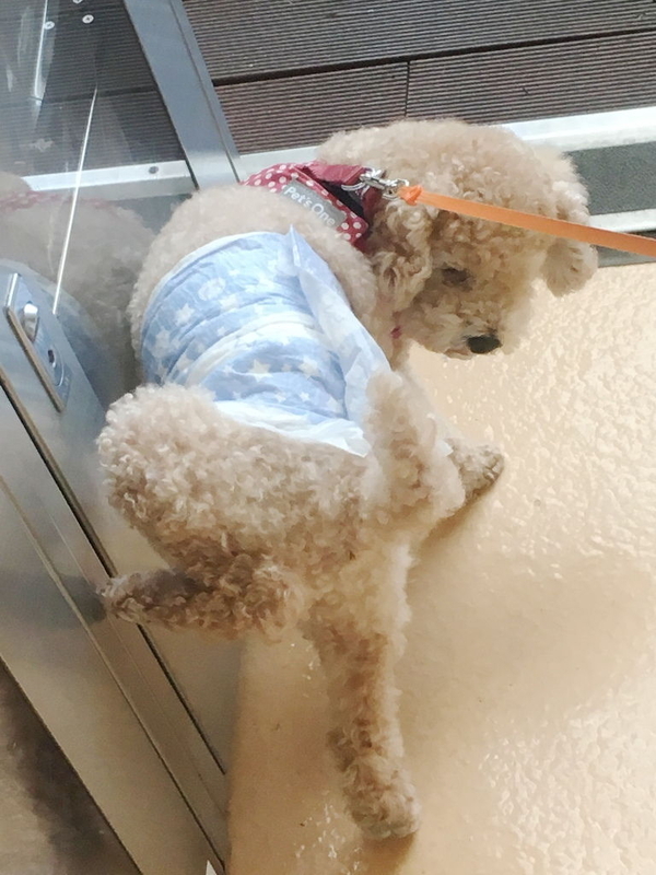 イメージ 5