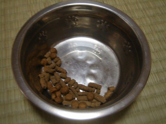 イメージ 7