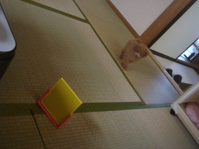 イメージ 4
