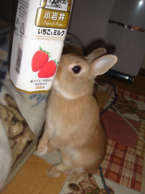 イメージ 1