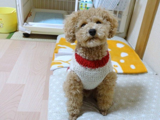 イメージ 3