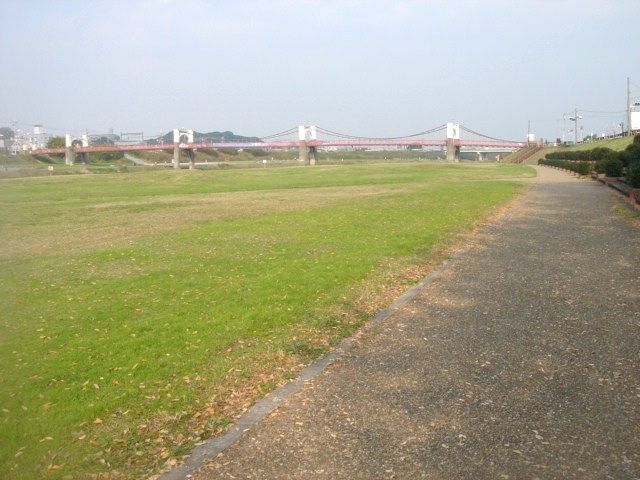 イメージ 15