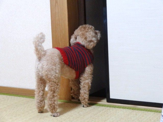 イメージ 2