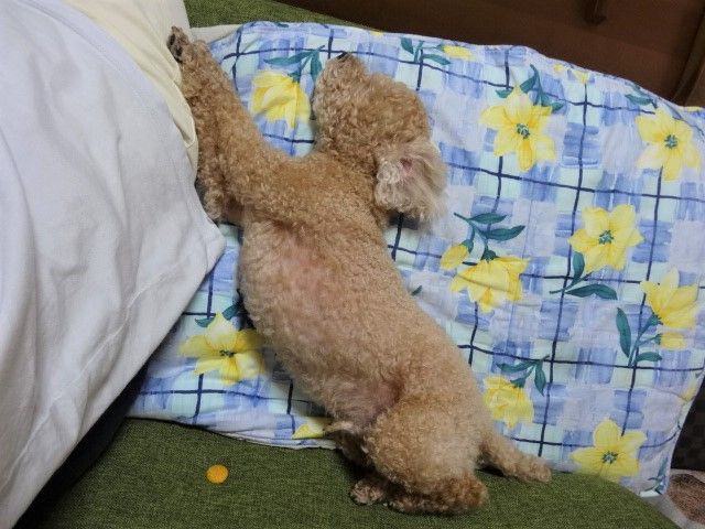 イメージ 3