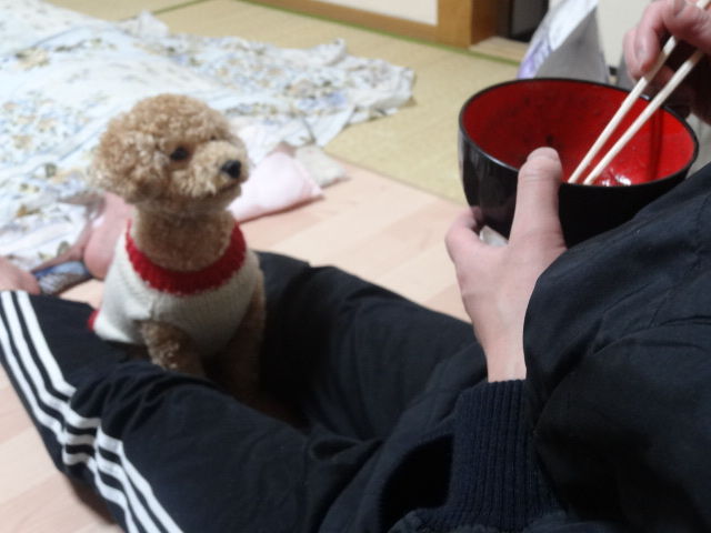 イメージ 6