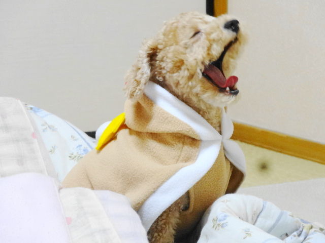 イメージ 2