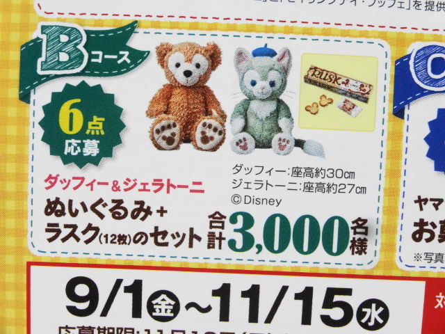 イメージ 11