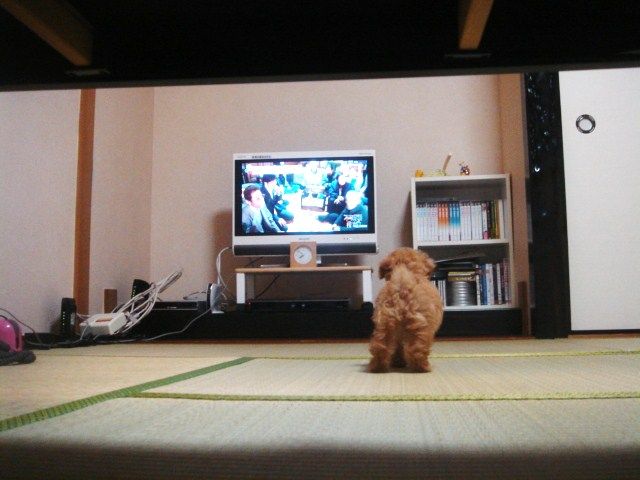 イメージ 4