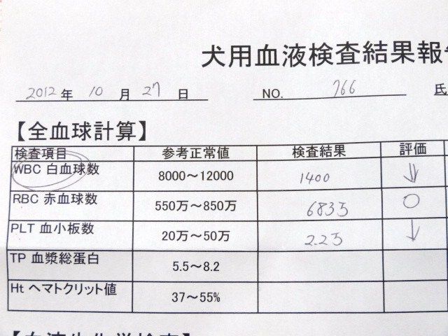 イメージ 5