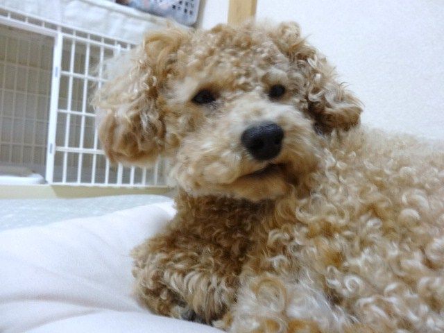 イメージ 2
