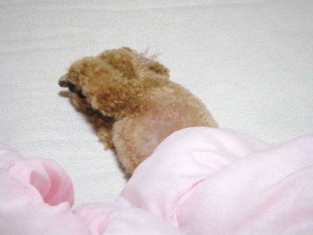 イメージ 3