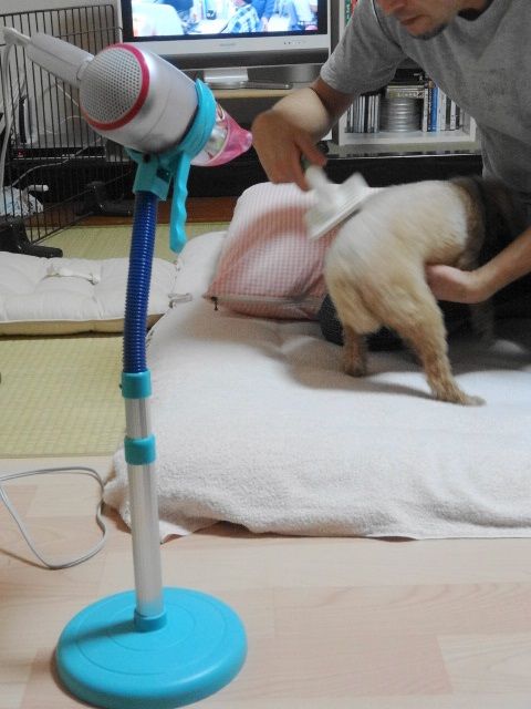 イメージ 2