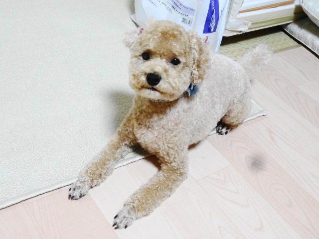イメージ 4