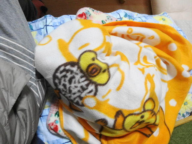 イメージ 6